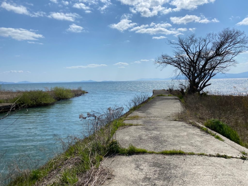 【長浜市】『湖岸緑地 八木浜・田川』のアウトドア情報（駐車場・トイレなし）｜琵琶湖アウトドアマップ